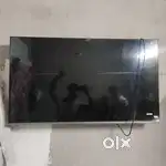 50 led AU