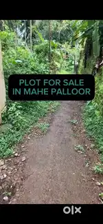 1km to new highway 1 km pallor 1.5 km to chokli Thalassery 7km mahe5km