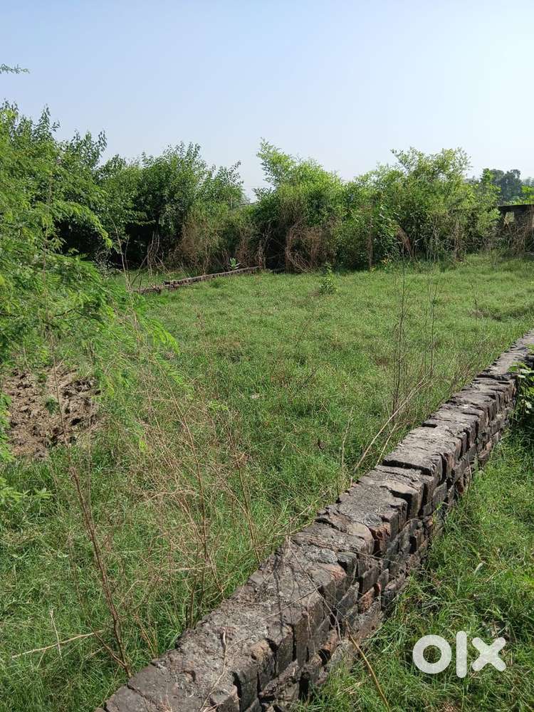 Urgent 250 gaj plot for sale