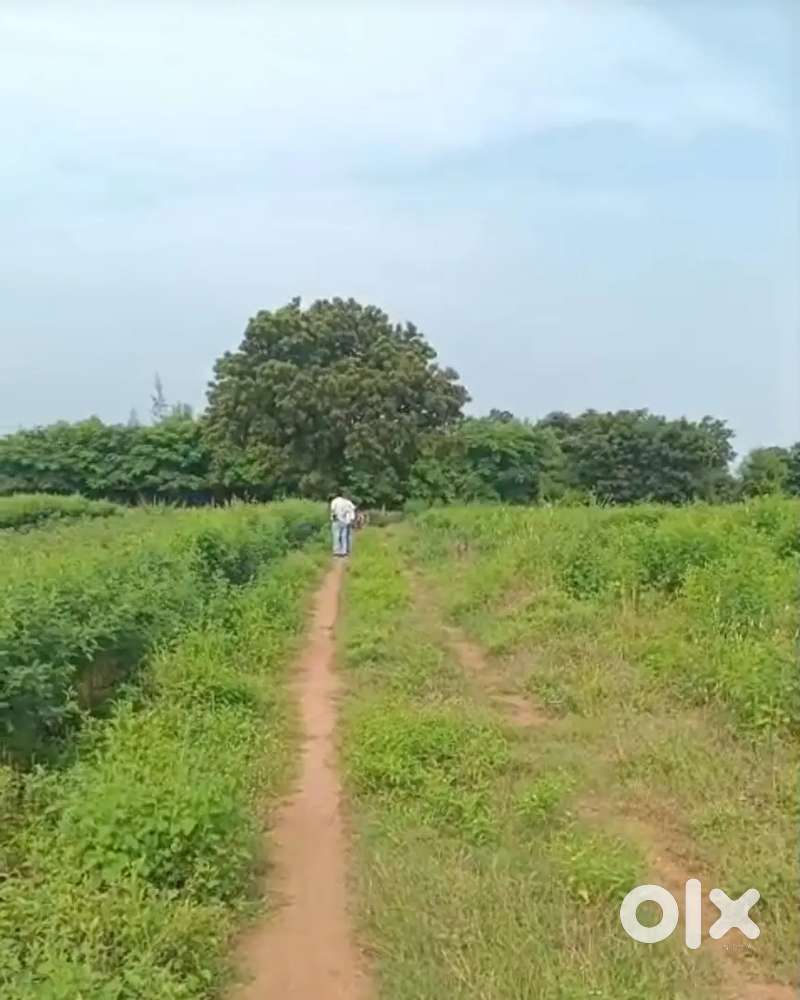 5 Acres Agriculture Land Sale Near by Warangal - HYD Highway