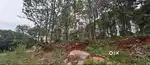 A 20 cent - beautiful Land in Yelagiri for Resort & personal use