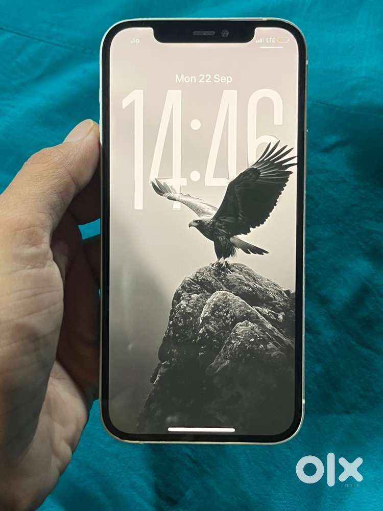 iPhone 12.   64GB
