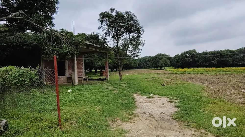 नवरात्रि मे रोड से जुड़ी सिंचाई सुविधा वाली कृषि भूमि बुक करे