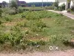Plot for sale