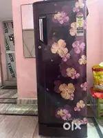 Whirlpool-2020