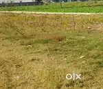 REGISTRY LAND FOR SALE