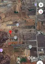 51.65 cents Farm house land for sale