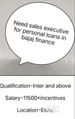 SALES EXECUTIVE ROLE AT BAJAJ