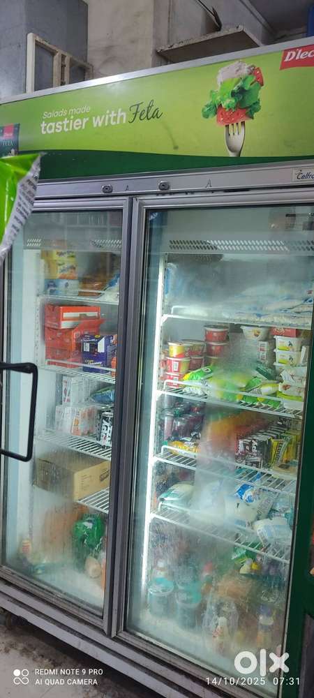 Cellfrost Double Door Commercial Fridge