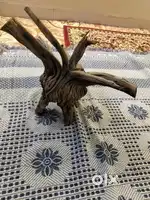 Drift wood aquarium