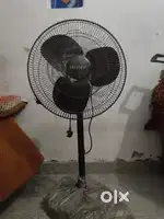 BIG SIZE FAN.