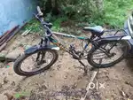 Tyson Bicycle