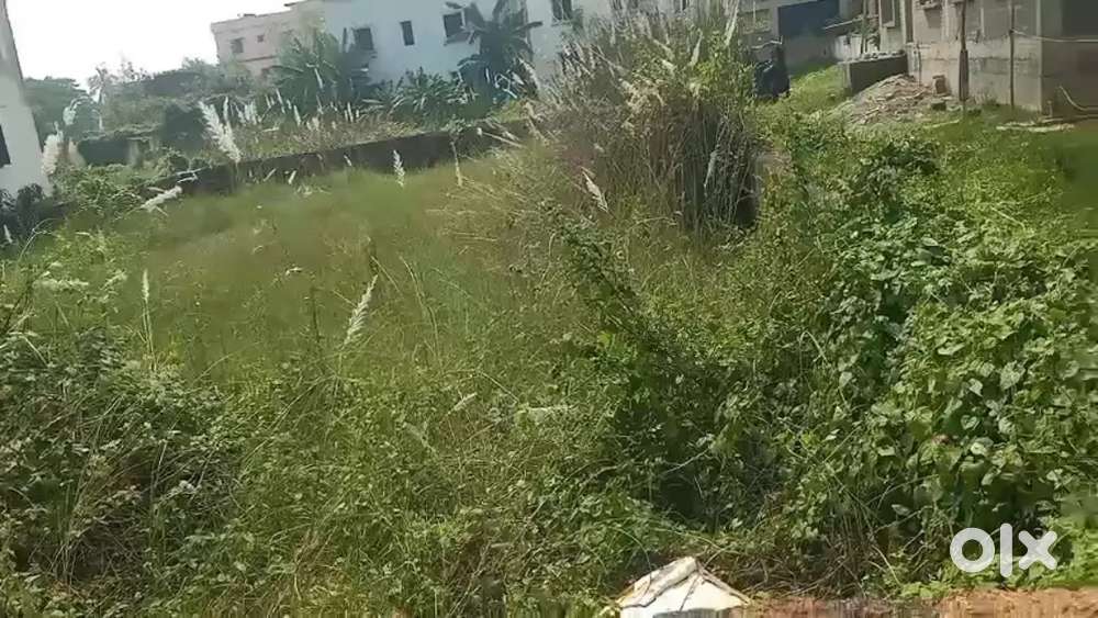 Plot at hanspala sivasakti nagar lane 17