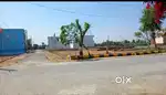 Residential plots sale in Behroad Sotanala