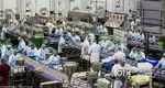 Immediate joining for manufacturing company male only