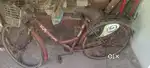 BSA Ladybird shine