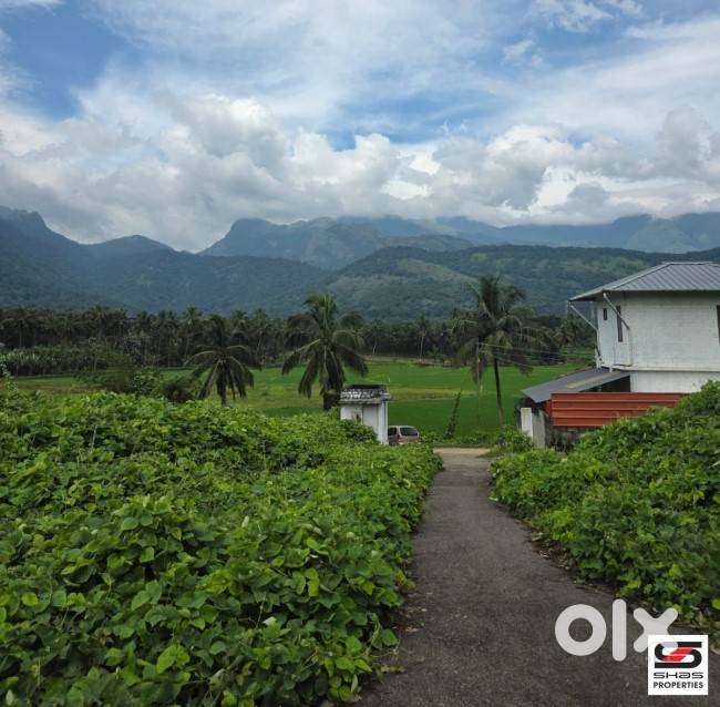 Plots for sale near Dhoni, Palakkad