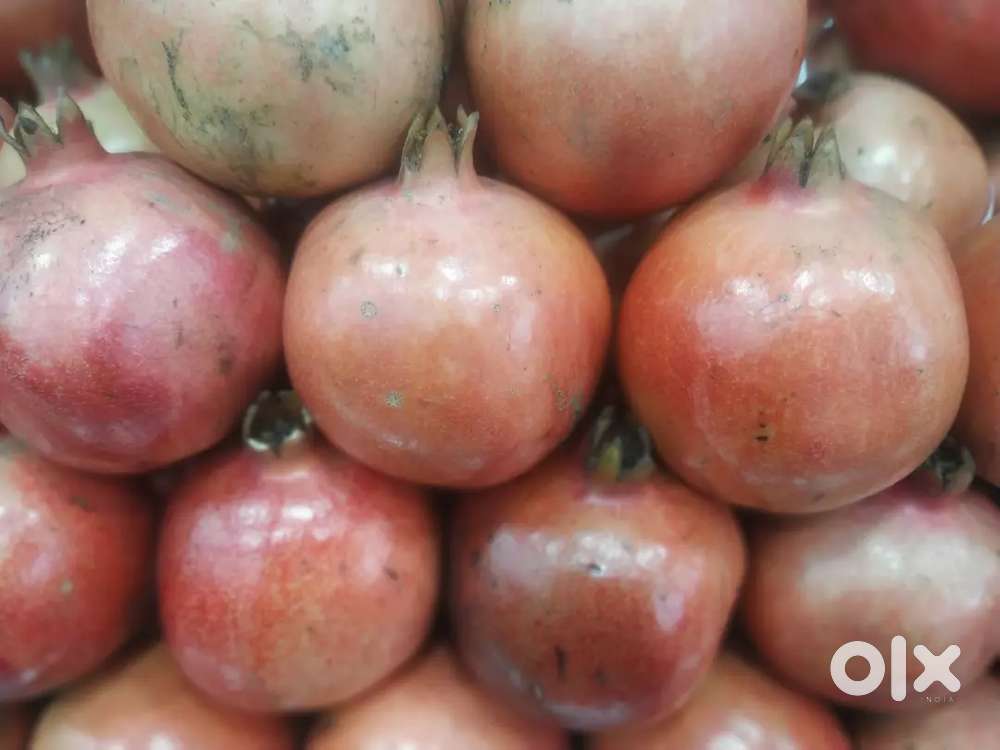 Pazhamudiyur nilayam contact