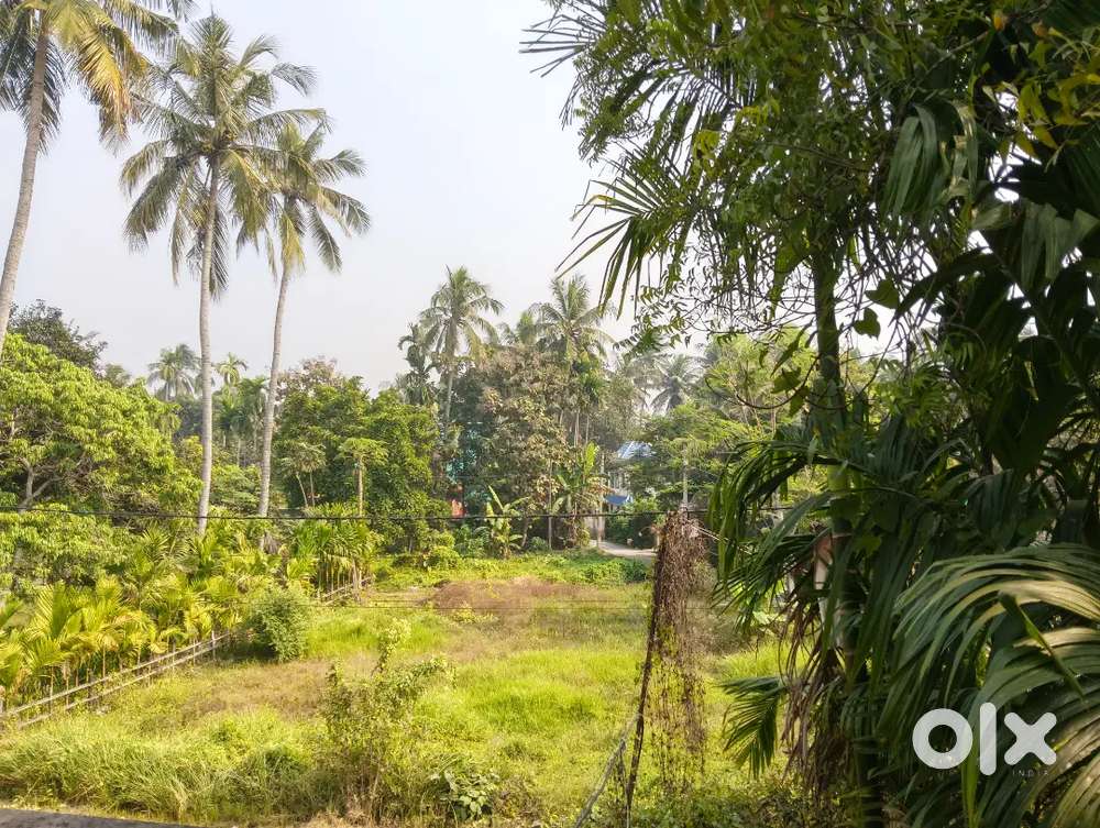অনিতা এন্টারপ্রাইস