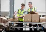 Parsel packing job