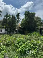 Land for sale  Shivmandir, Near B.ed college  plot for sale