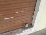 Tolet commercial shutter for shop office near Amma garden katedan