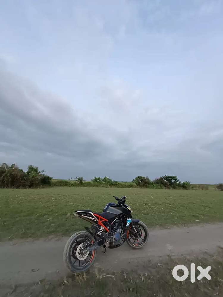 Duke 250 bs4