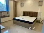 1 Bhk fully furnished independence flat in nipania Main Road