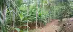 154 cent land sale or exchange 44000/cent mekkapala kuruppampadi  EKM