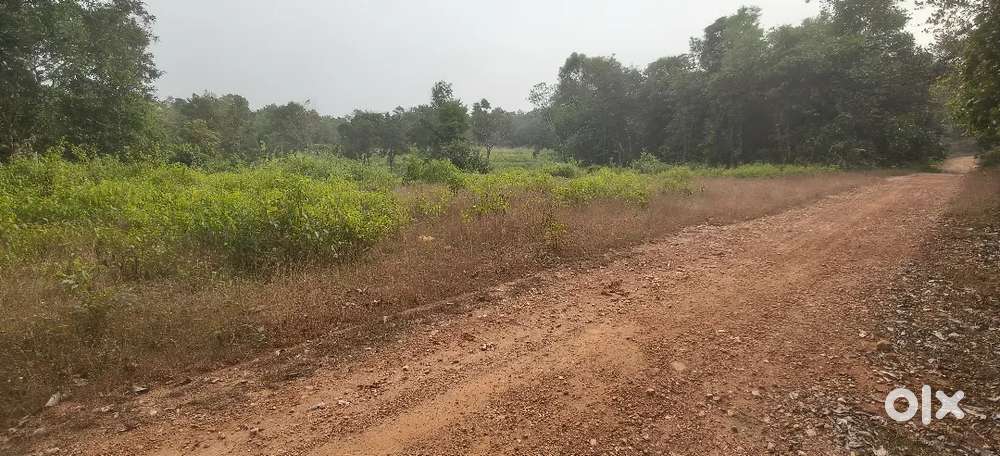 1.70 acre agriculture plain land for sale in karkala.