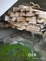 Teakwood for sale