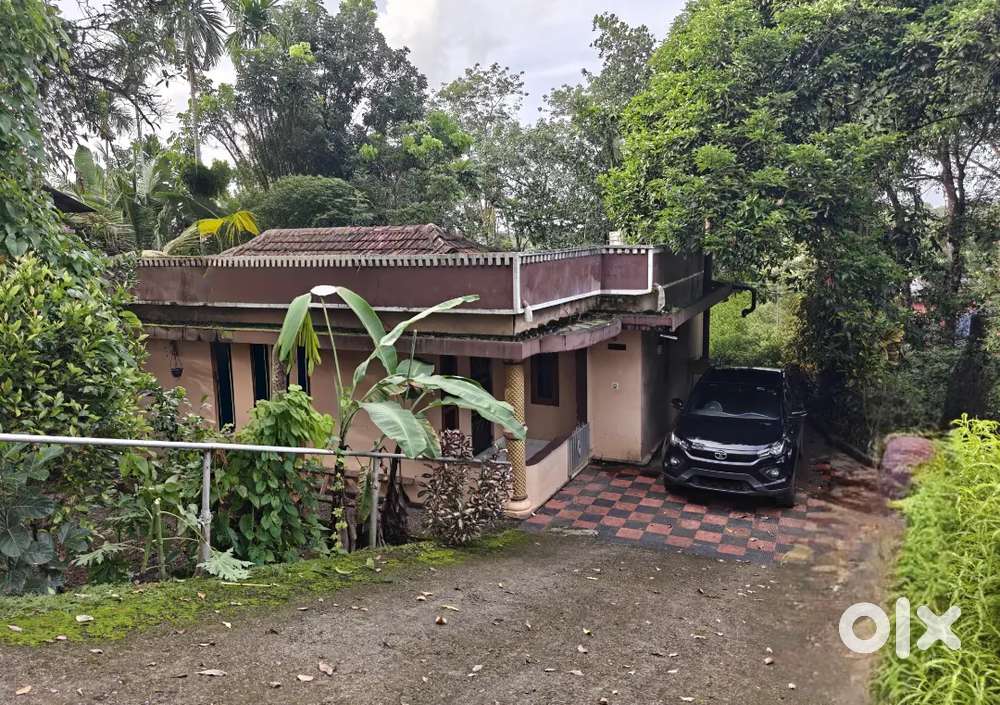 House with 10cent plot for sale