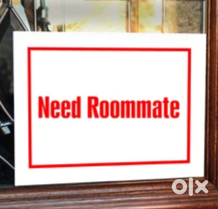 Roommate need (boy)