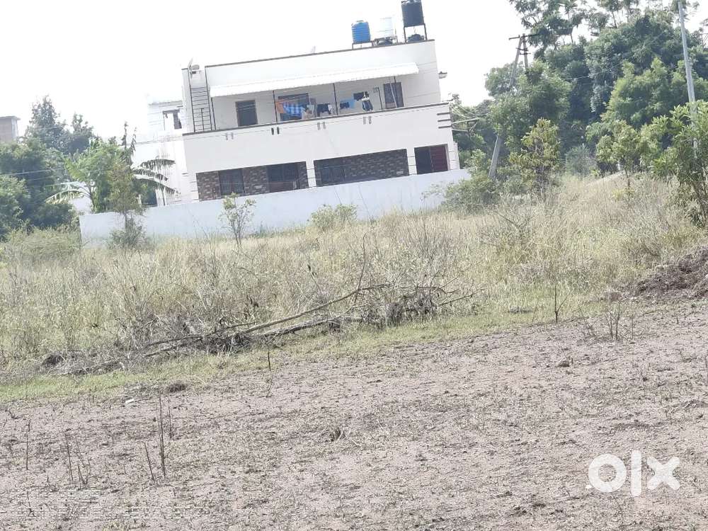 VILANKNKURICHI GREEN FIELD NEAR 60*40 NORTH And WEST DTP SITE SALE