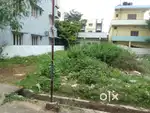 Near KIMS HOSPITAL Sheela nagar