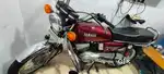 Rx135 यामाहा