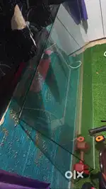 6 feet by 3 feet and 12mm glass for sale