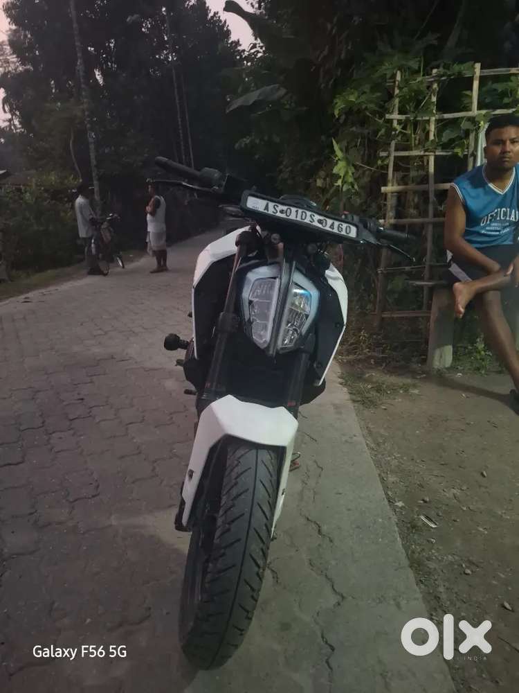 Duke 250 bs4
