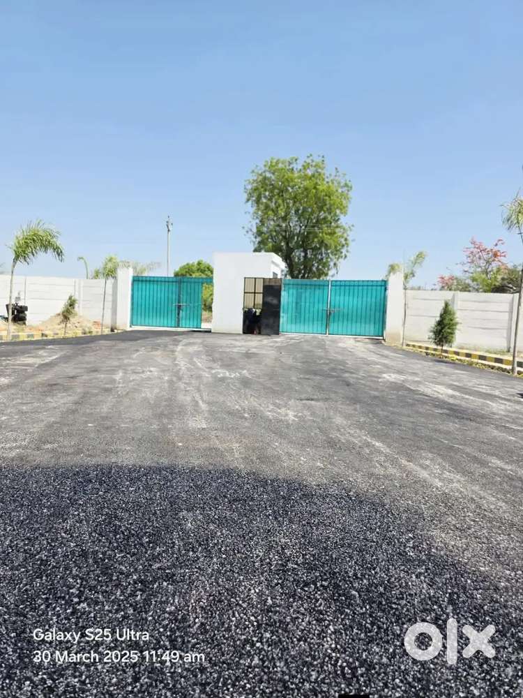 मन पसन्द प्लांट बुक करें मात्र11000 में सुल्तानपुर रोडगोसाईगंज मार्केट