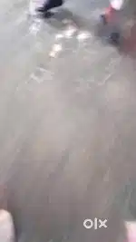 Very low budget price