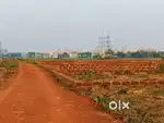 Aiims hospital back site