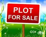 Plot sale at rs. 250 with Dtcp and Rera approved