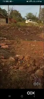 Full developed red soil 20*30