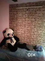 Only for single girls sharing room