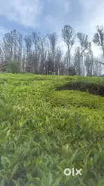Vastu plot at adirathy