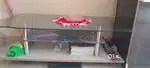 Tipoy table