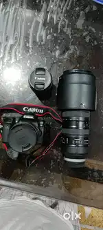 Canon 80D, 
18-135mm Nano STM Lens
17-50mm F/2.8
Tamron 150-600mm G2