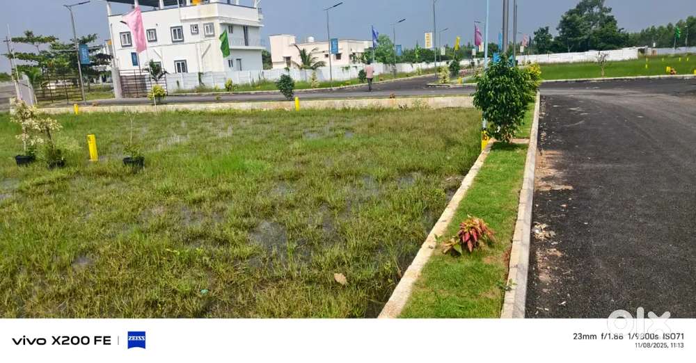 Velammal school near low budget residential plots