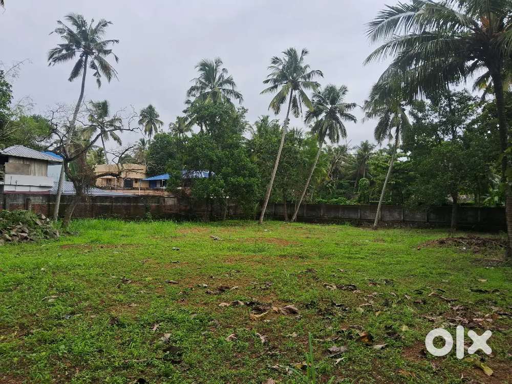 NEAR INFOSYS 85 CENT TURF SPACE FOR RENT