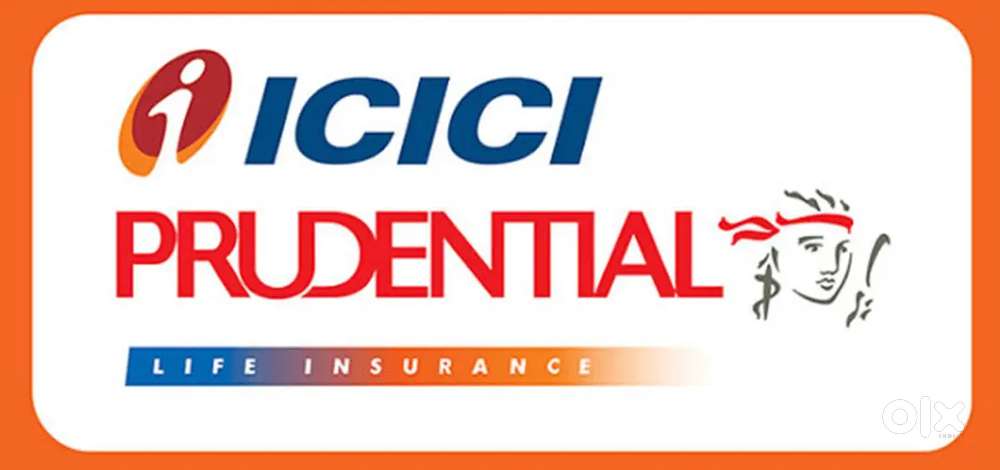 Insurance advisor